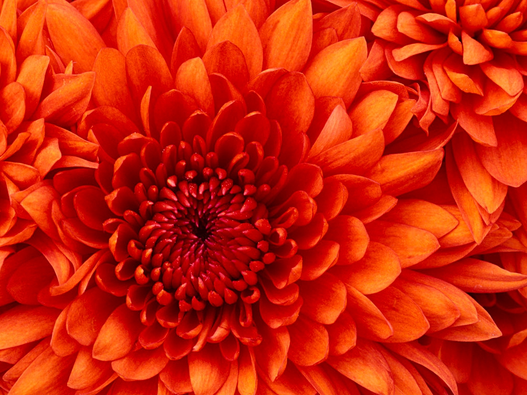a07bb170c4a36161aa1f8f4859c19794